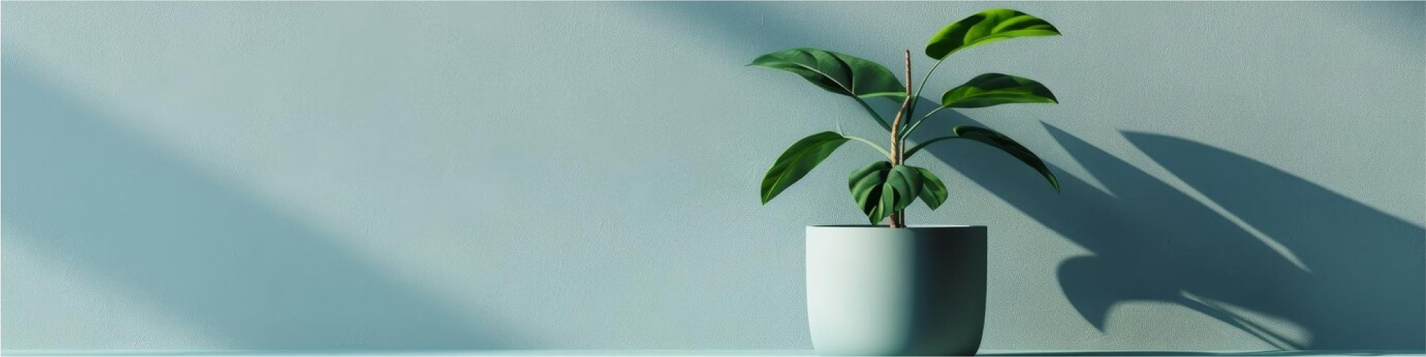 plant-table-with-pot-green_951562-99199 1